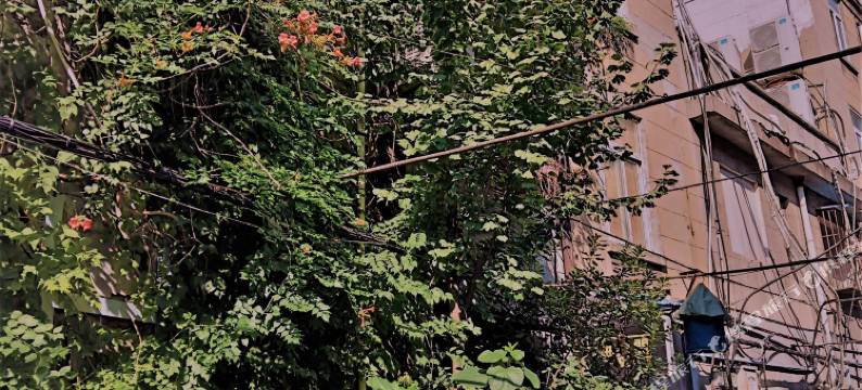 武汉环球客青年公寓图片