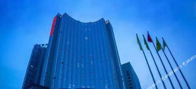 益阳通程国际大酒店图片