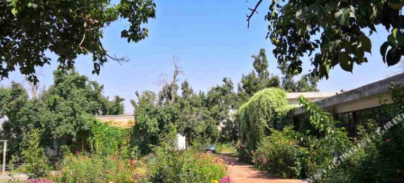 青城古镇赛福特农庄图片