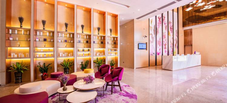 麗枫酒店(江门蓬江万达广场店)图片