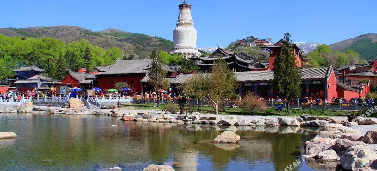 五台山山水空间酒店(五爷庙店)图片