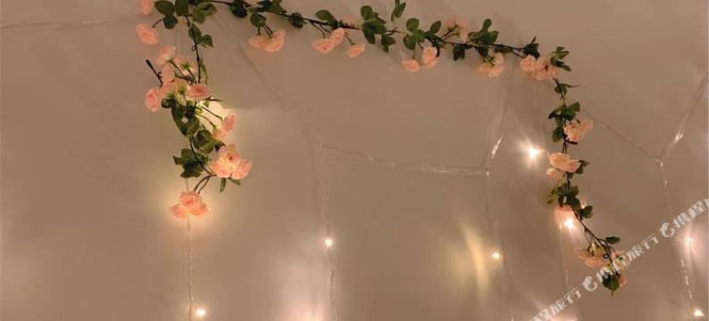 广州Rose喵喵民宿图片