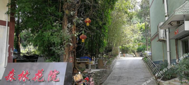 广元森林花院大酒店图片