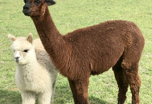 Harmony Bed & BreakfastHotel Overview