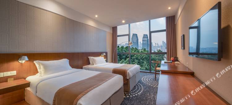 光宇尚滨戴斯酒店(南坪步行街店)图片