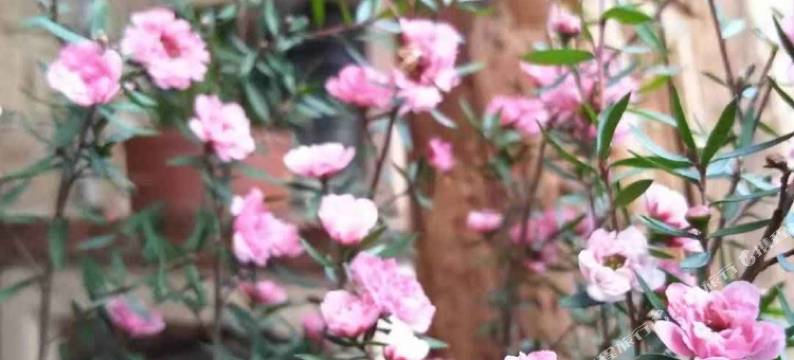 建水归隐民宿图片