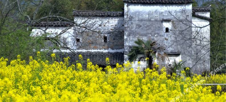 婺源李坑傍溪居客栈图片