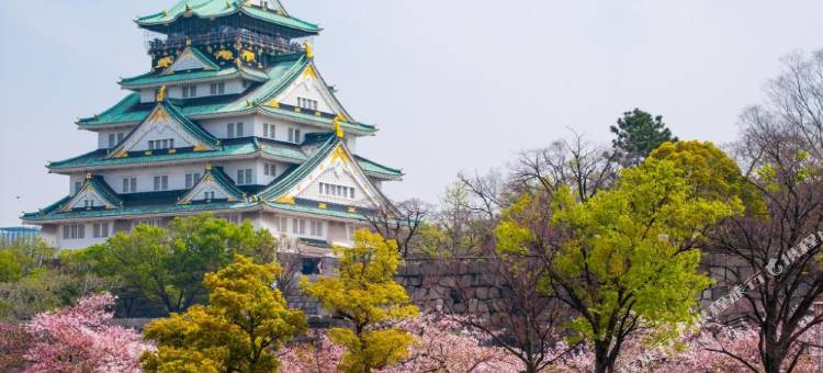 大阪本町 都城市酒店(Miyako City Osaka Hommachi)图片