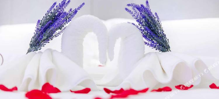 麗枫酒店(安乡店)图片