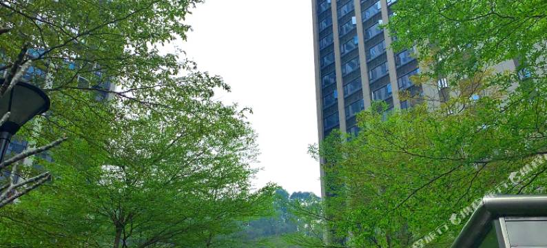 蜜柚酒店(广州燕塘地铁站力达广场店)图片