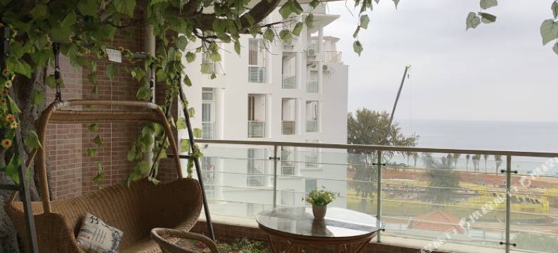 深圳民宿哒哒图片