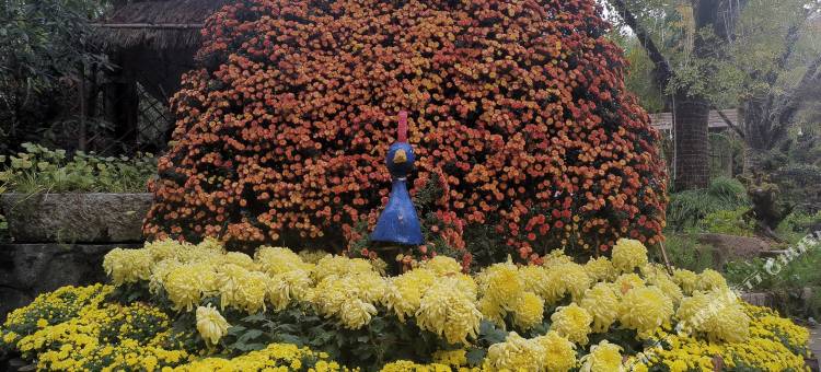 文成天顶湖生态农庄图片