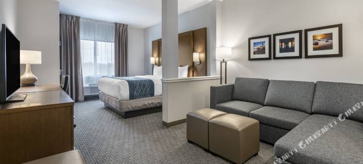 斯图尔特-哈钦森岛舒适套房酒店(Comfort Suites Stuart-Hutchinson Island)图片