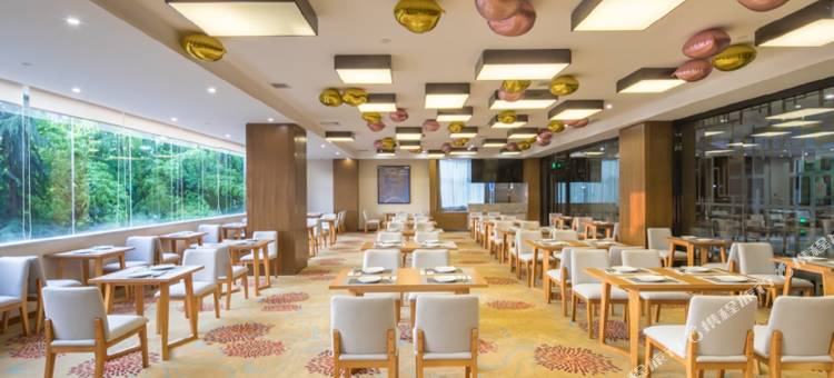 新华酒店(重庆江北机场T3航站楼店)图片