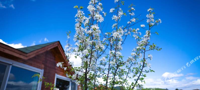 根河敖乡田园木屋宾馆图片