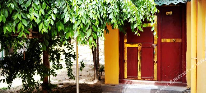 拉萨龙川青年旅舍花园客栈图片