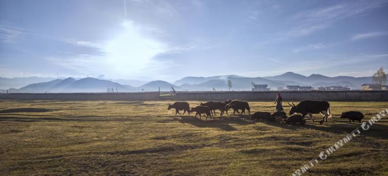 香格里拉六涧小筑精品客栈图片