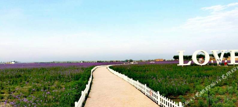 中卫风沙渡青年旅舍图片