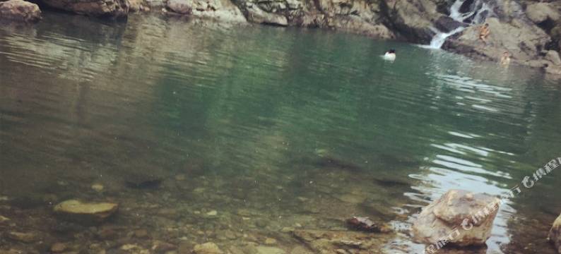 莫干山沁心阁图片