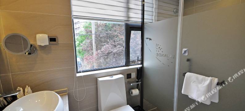 红枫酒店(南京新街口张府园地铁站店)图片