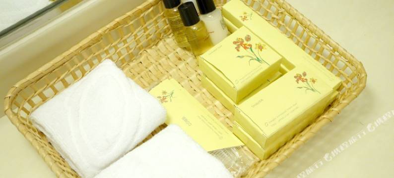 上海国际机场宾馆图片