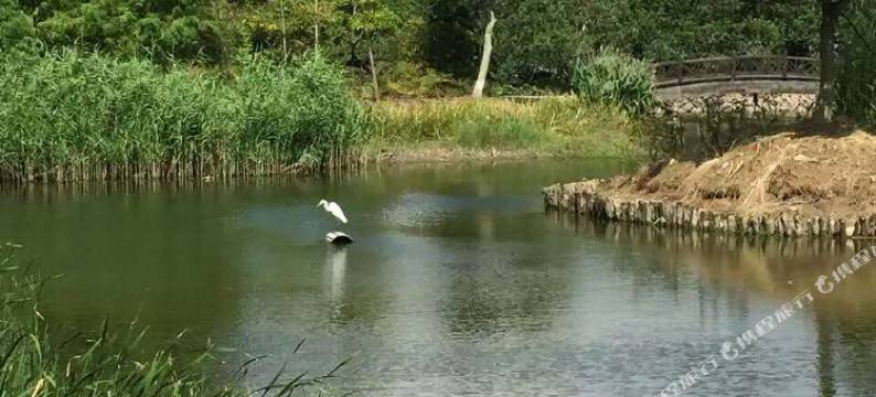 普陀山豫佛缘客栈图片