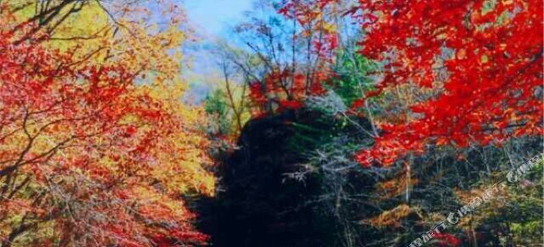 五女峰天成宾馆图片