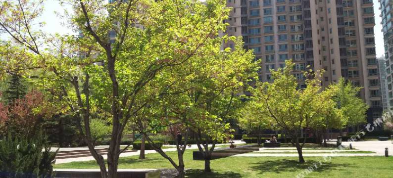 北京雅斯茗海晟服务公寓图片