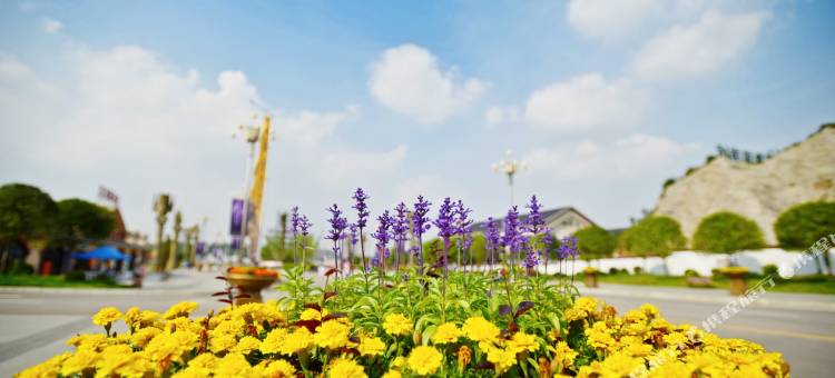 安顺斯维登度假公寓(万象城青瓦台)图片