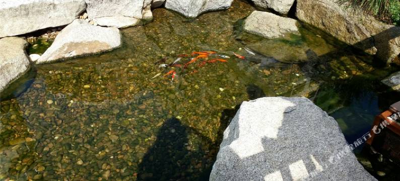 丹东途悦江景温泉公寓(江户城店)图片