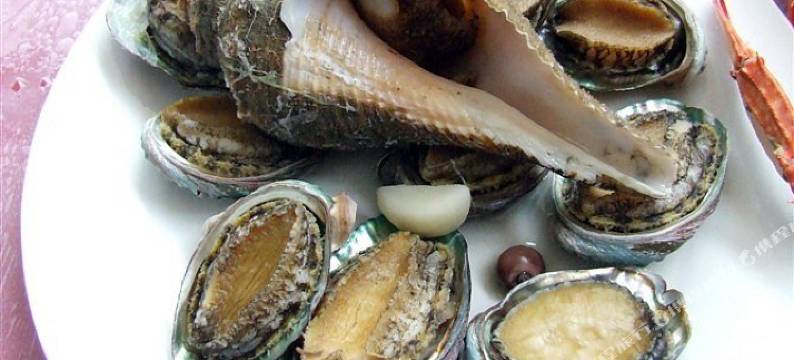 日照龙合渔家图片