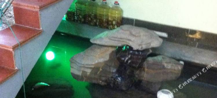 桐庐绿园农家民宿图片