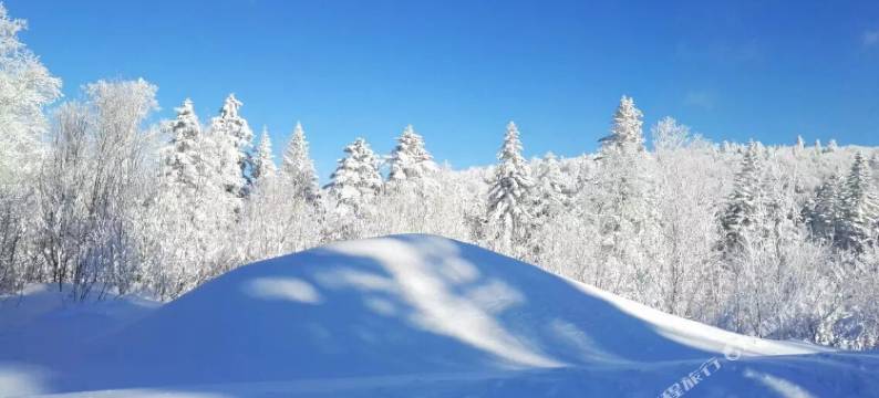 雪乡最东北客栈图片