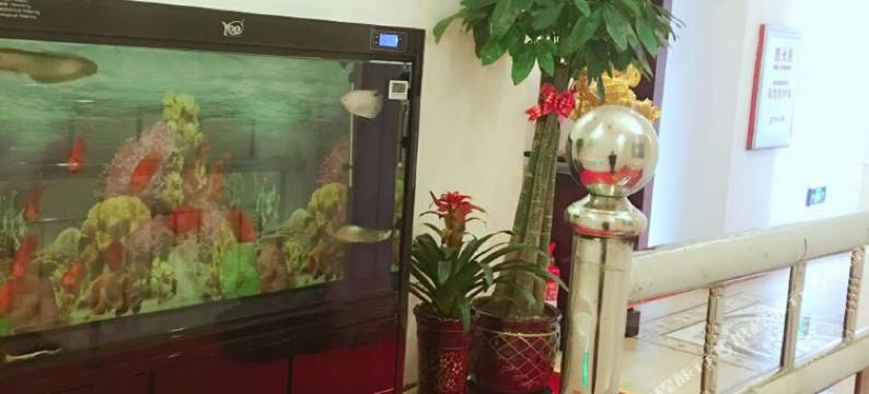 敦化鑫海宾馆图片