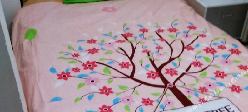 雅安雨城水云天青年旅舍图片