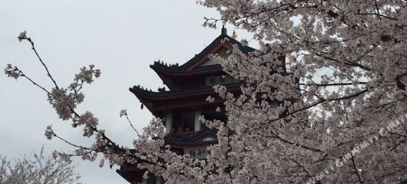 无锡瑞廷西郊酒店(太湖鼋头渚风景区店)图片
