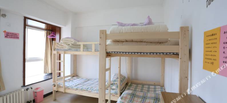 两只小猪青年旅舍图片