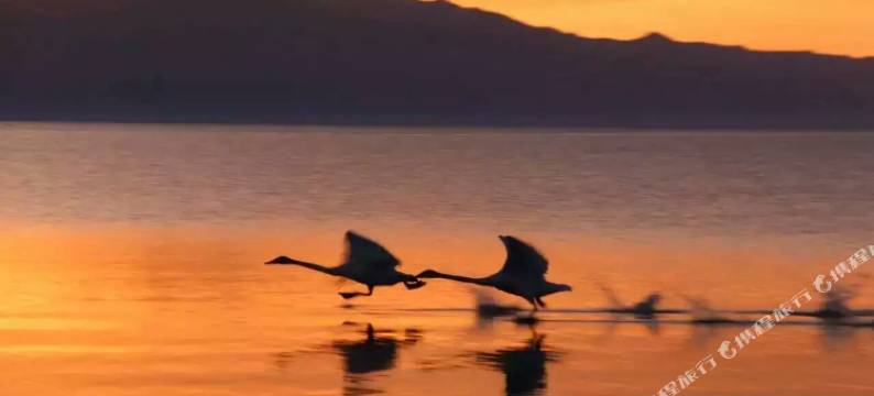 赛里木湖果子沟度假村图片