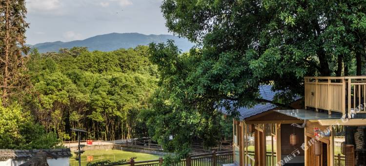 武夷山武夷别院(武夷山风景区店)图片