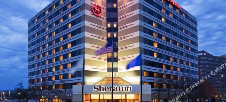 芝加哥奥黑尔喜来登套房酒店(Sheraton Suites Chicago O'Hare)图片