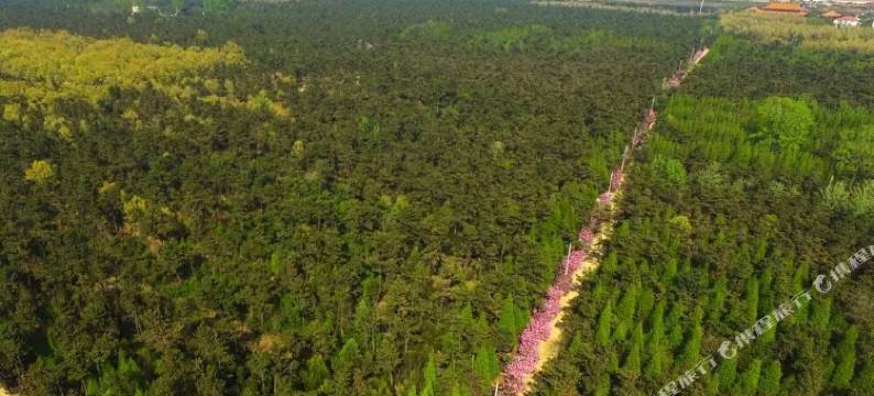 日照临海精品民宿图片