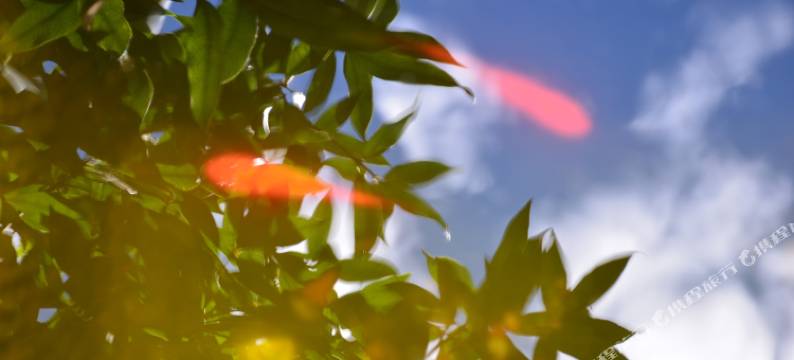 丽江束河陶居客栈图片