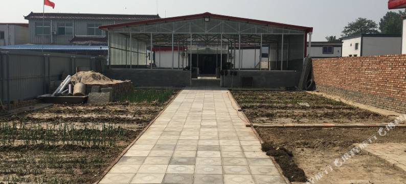 白洋淀小雨农家院图片