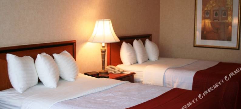 会东唐朝商务酒店图片