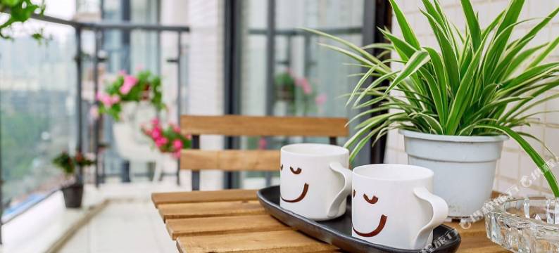 成都蓉城逸居公寓(宏济新路分店)图片