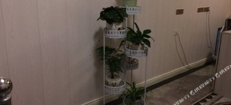 荥阳四季商务宾馆图片