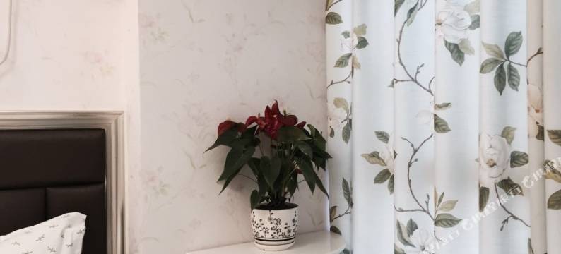 怡景丽华公寓(武汉二店)图片