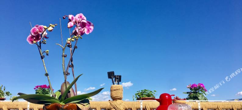 西昌陌上花开客栈(沐歌小镇店)图片