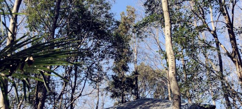 南昌象山森林假日酒店图片