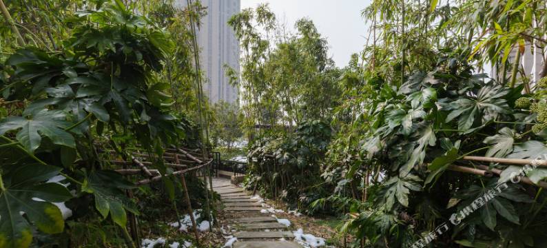 苏州遇见大城小院图片